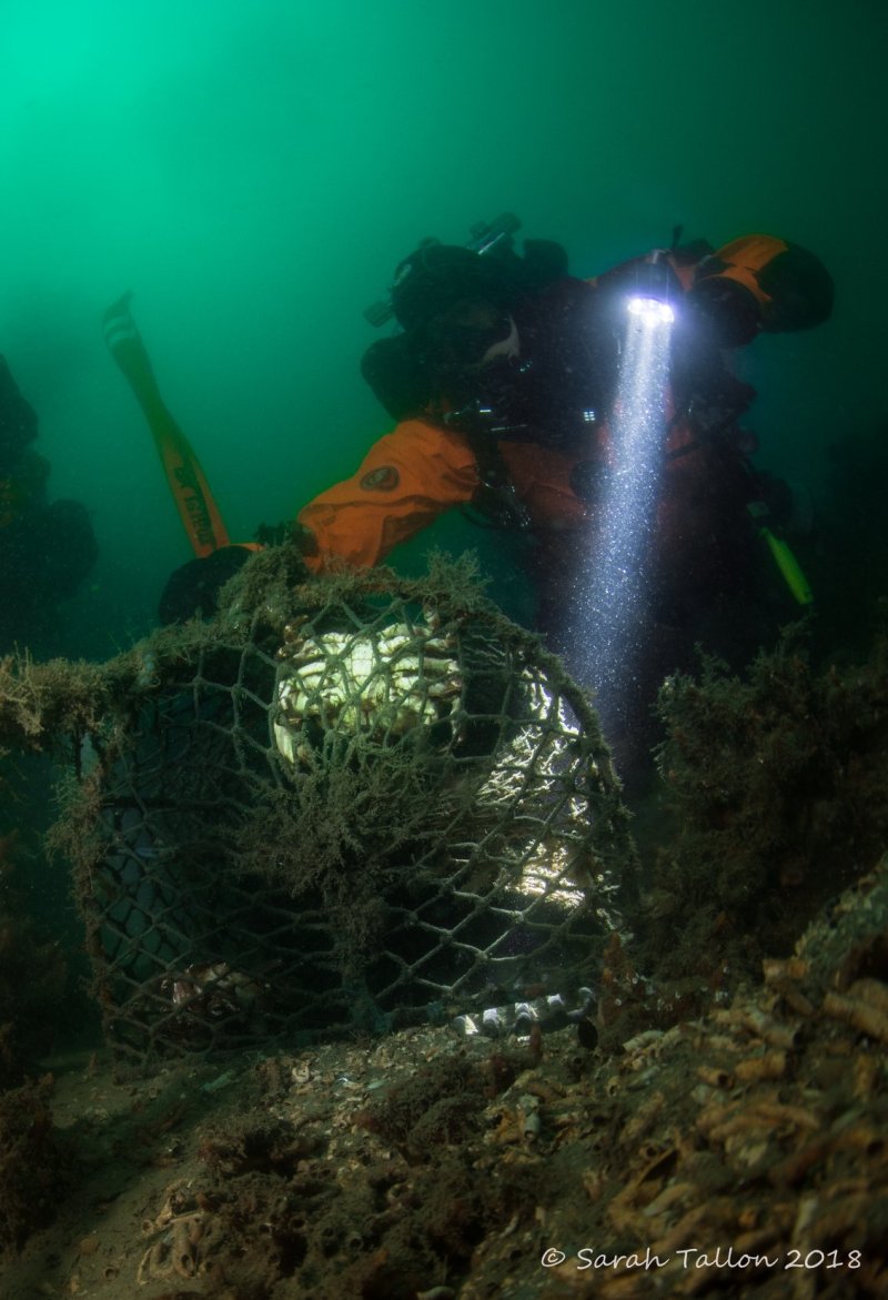 Operation Stone & Pots (c) Sarah Tallon