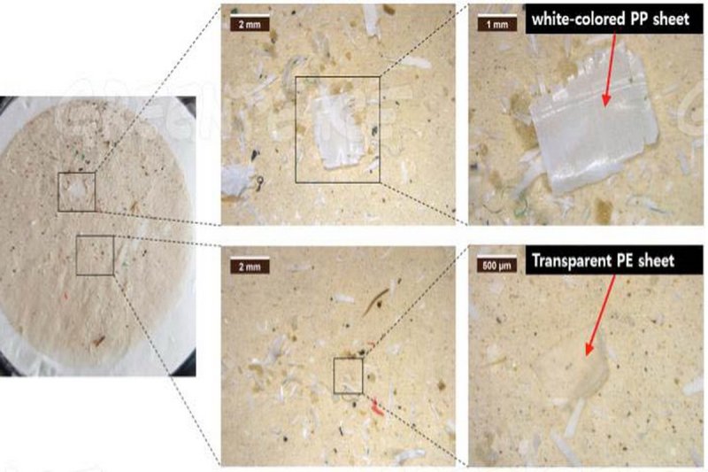 Micro-plastics in Indonesian sea salt sample
(c) Seung-Kyu Kim