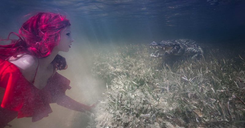 Posing with seawater crocodiles
(c) Ian Gray