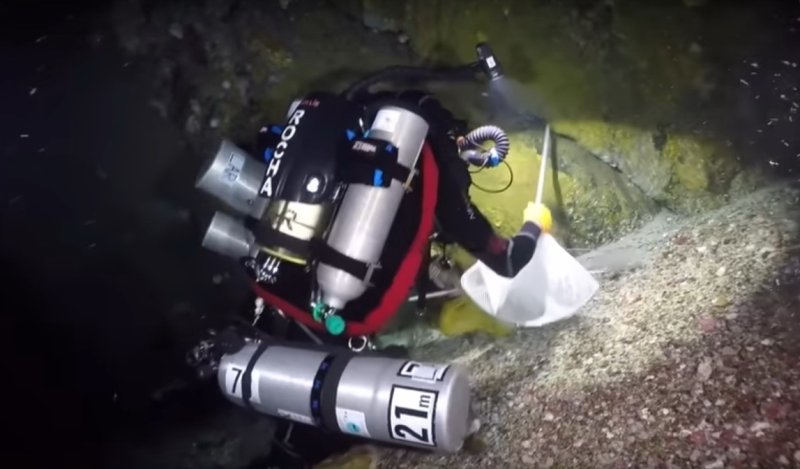 On an expedition into the remote Brazilian archipelago of St. Paul