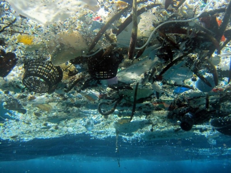 Plastic litter in the seas - the starting point of the problem
(c) NOAA