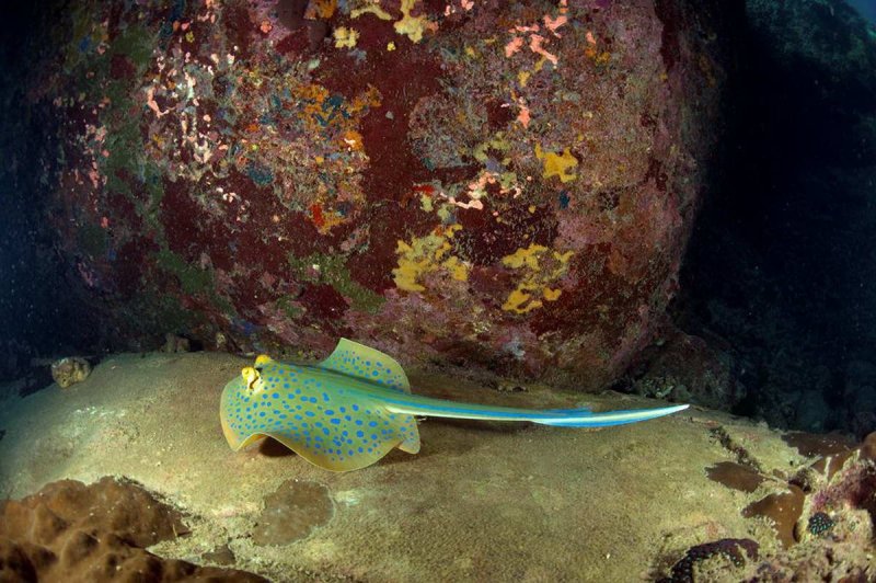 Tioman Island (c) Tourism Malaysia
