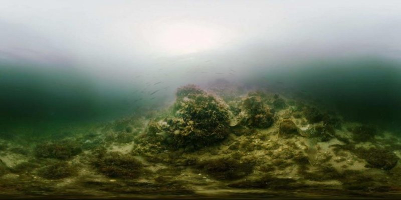 Stone Reef in the Baltic Sea (c) NABU 