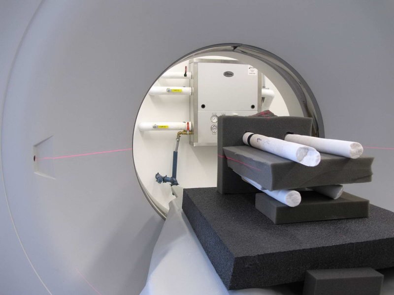 Coral cores waiting to be CAT scanned at WHOI.
(c) Thomas M. DeCarlo, Woods Hole Oceanographic Institution