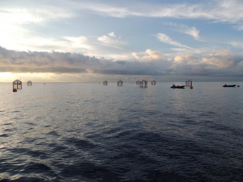 The mesocosms at sunrise off the coast of Gran Canaria, (c) Ulf Riebesell / GEOMAR