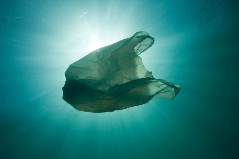 Plastic bag floating in the sea, resembling a jellyfish swimming Dangerous to sea turtles. (c) naturepl.com / Sue Daly / WWF