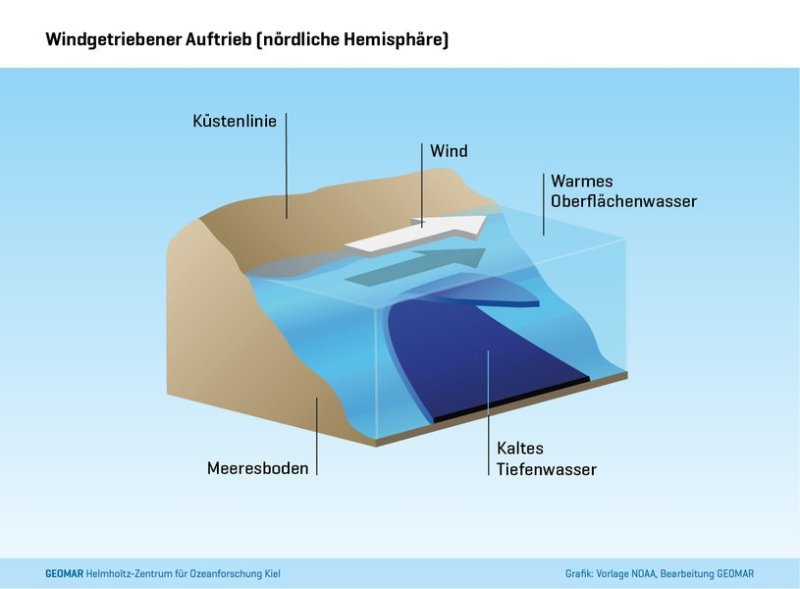Function of coastal upwelling areas in the northern hemisphere, (c) NOAA / GEOMAR