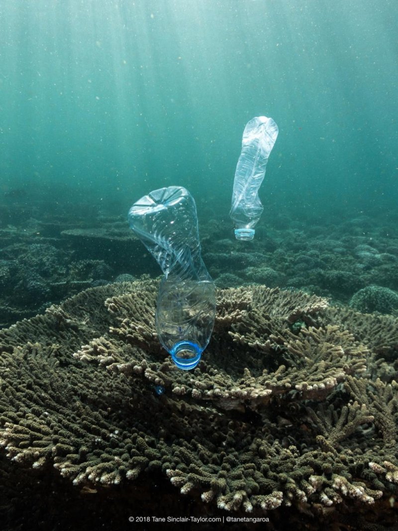Plastic litter is everywhere (c) Tane Sinclair-Taylor