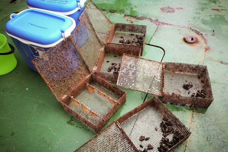 Salvaged shell boxes © Alfred Wegener Institute