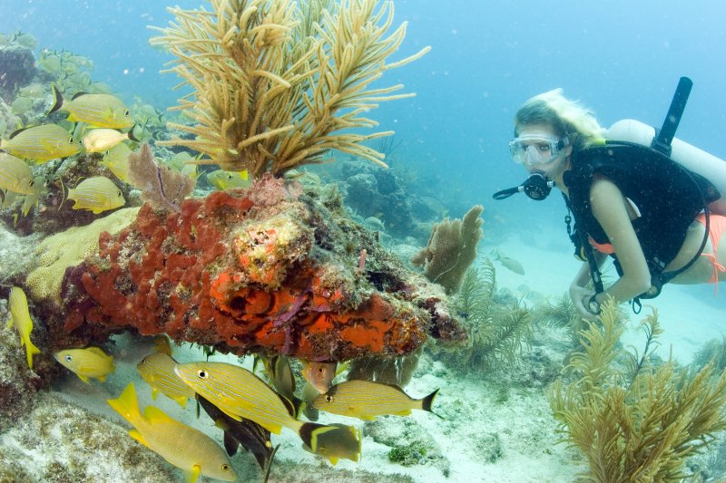 Scubadiving at Key Largo (c) Bob Care Florida Keys News Bureau