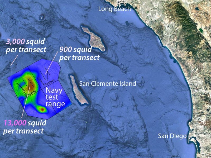 The large red area on this map shows where beaked whales congregate within the Navy sonar test range off Southern California. Data collected during transects by the REMUS AUV shows that deep-sea squid are much more abundant in this region than elsewhe