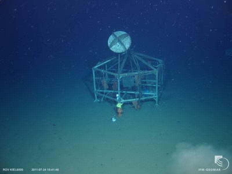 Scientists of the Alfred Wegener Institute have investigated which species settle in the Arctic deep sea. For this purpose, they erected settlement plates on a steel scaffold, which were photographed and sampled over a period of 18 years with the aid of ROV. (c) ROV Kiel 6000 GEOMAR