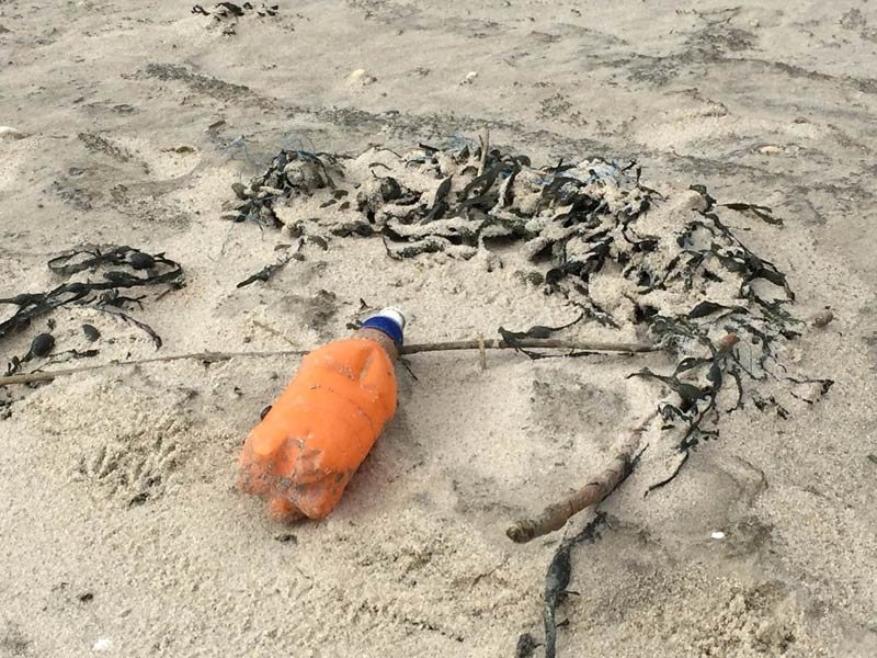 Plastic litter on the beach (c) Olaf Klodt