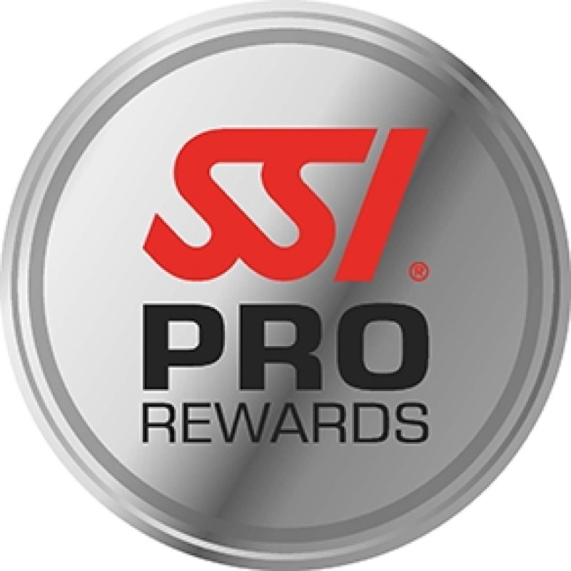 You earn Pro Rewards for every certification issued or for any additional qualification you earn.