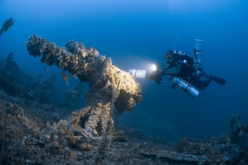 Le Polynesien (c) Steve Jones