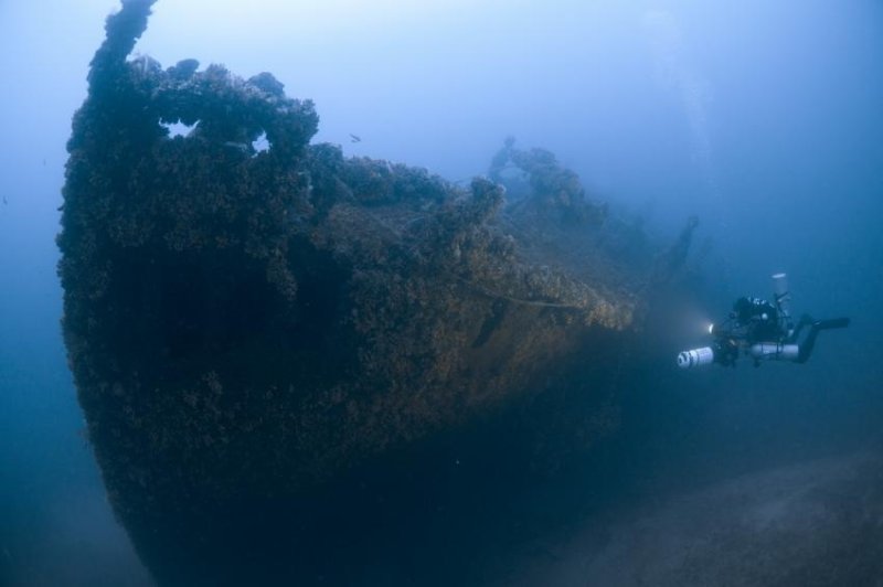 Le Polynesien (c) Steve Jones