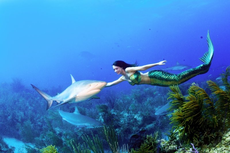 Michael Aw / Mermaid Kat