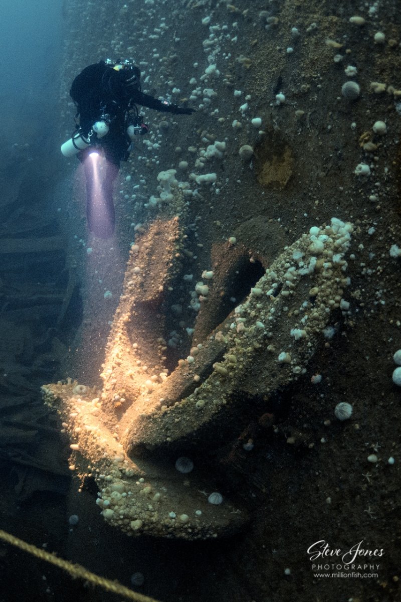 SS Justicia (c) Steve Jones