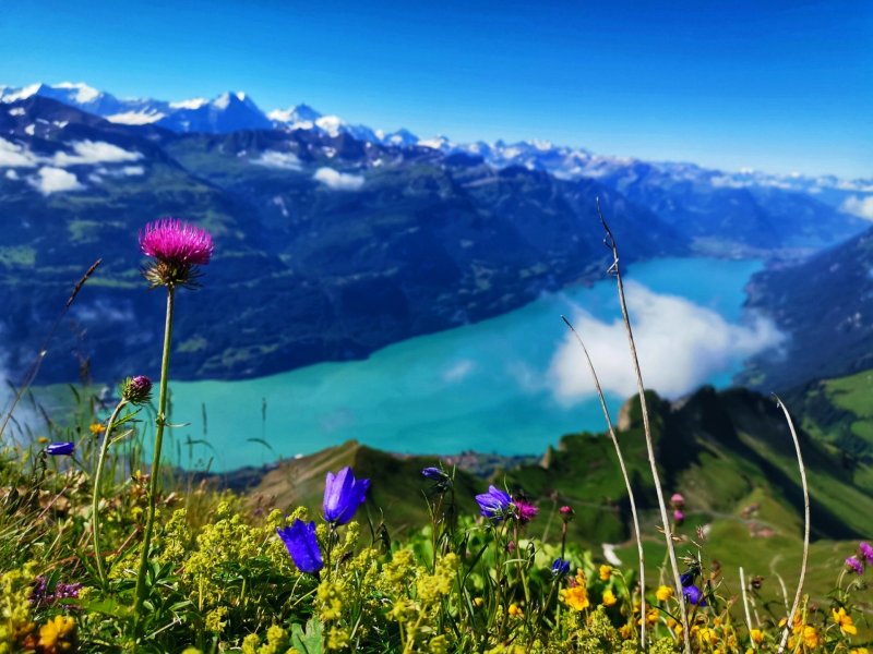 A picture book view. Lake Brie