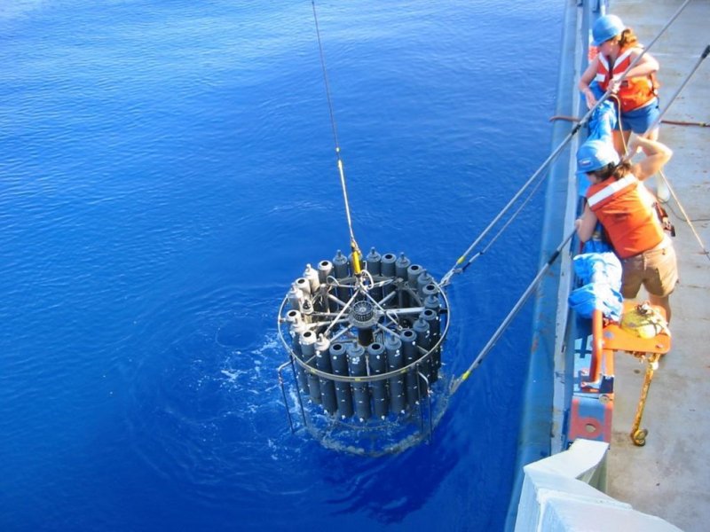 Scientists take water samples to test for unicellular predators, photo: © Marie Cuvelier