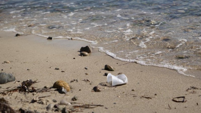 Polystyrene pollution at the Flutsaum, Photo: Jayne Doucette / Woods Hole Oceanographic Institution
