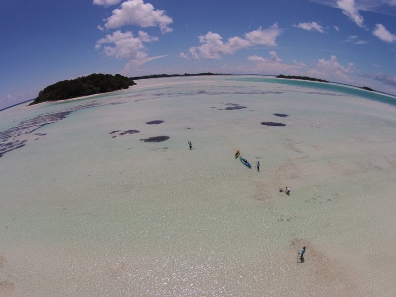 St Joseph study area (c) Michael Scholl at Save Our Seas Foundation