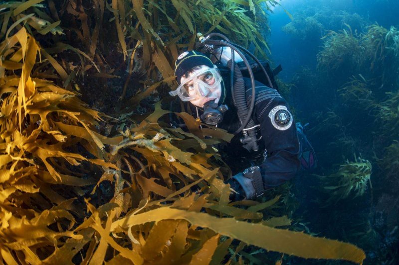 Diving operation at Vema seamount (c) Richard Barnden, Greenpeace