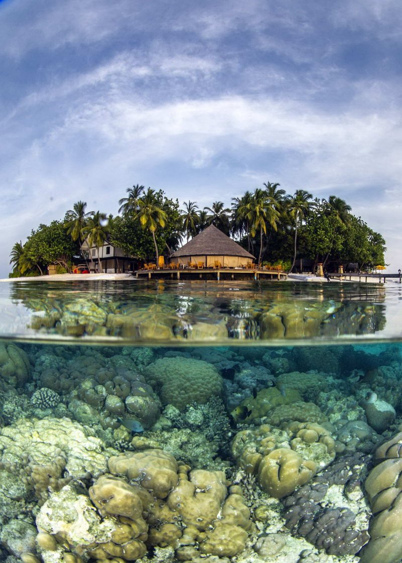 Healthy Reef (c) Prof. Peter Mumby / ARC Center of Excellence
