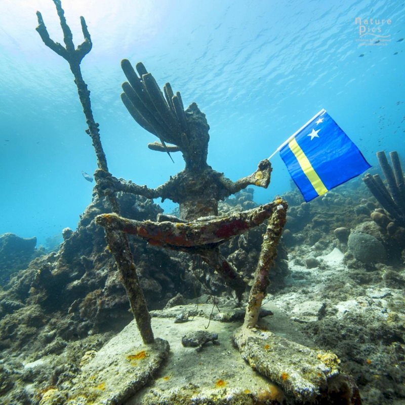 Neptune in the reef (c) Tilo Kühnast