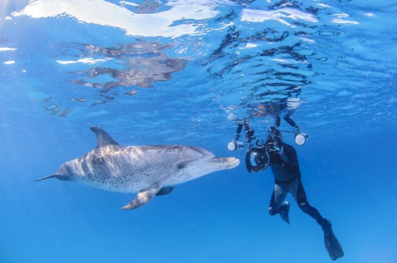 Underwater Photographer with Friendly Dolphin in Clear Waters of Bahamas - wonderful dive destinations
