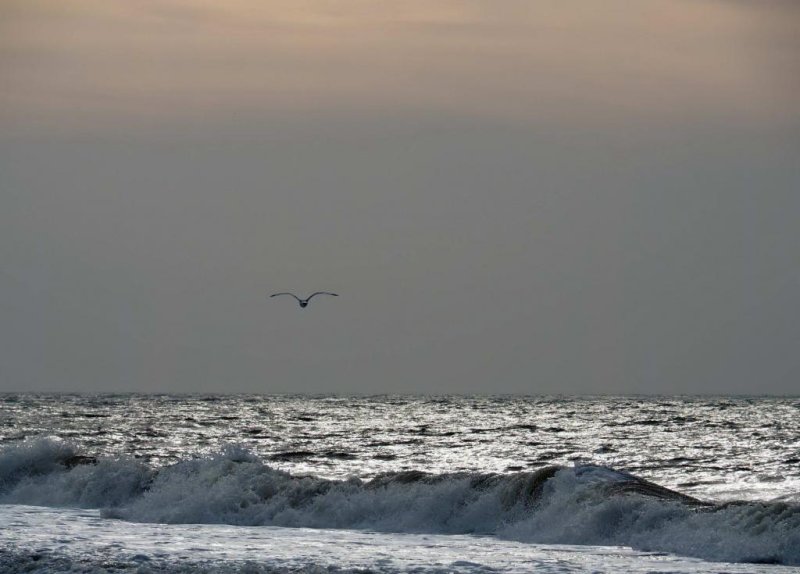 Threatened seas, (c) O. Klodt