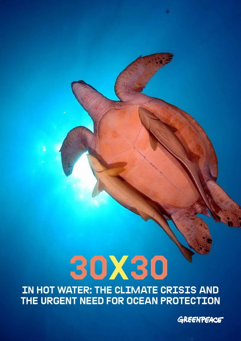 Oceans in the climate crisis: The Greenpeace report "30X30 In hot water" 