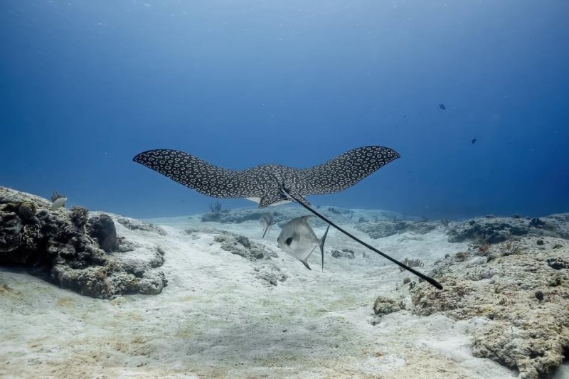 image Robert Stansfield