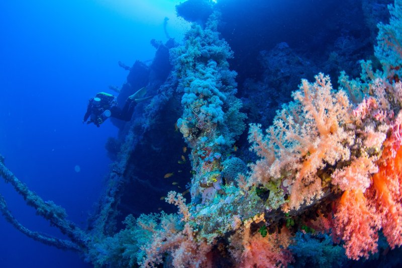 Numidia Wreck