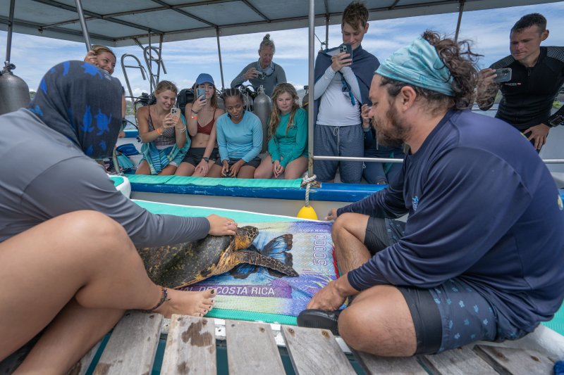 Sea Turtle Research: Three Days in the Gulf of Papagayo, Costa Rica