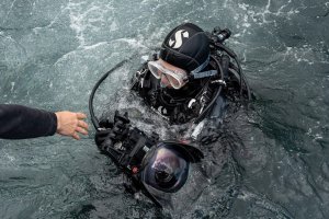 How to Become a Professional Diver with Purpose: Turning Passion into Impact