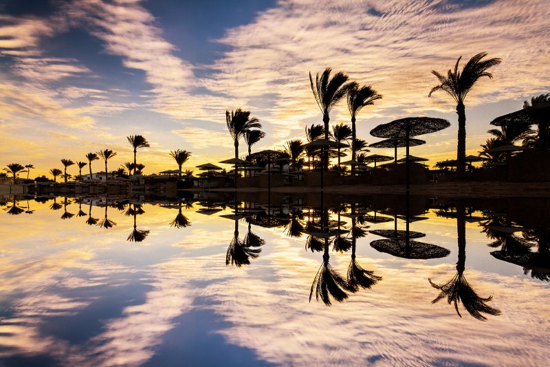 Why Egypt Is One of the World's Best Dive Destinations