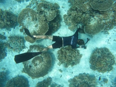 New Partnership for 2026: The Coral Planters x Blue Oceans x SSI