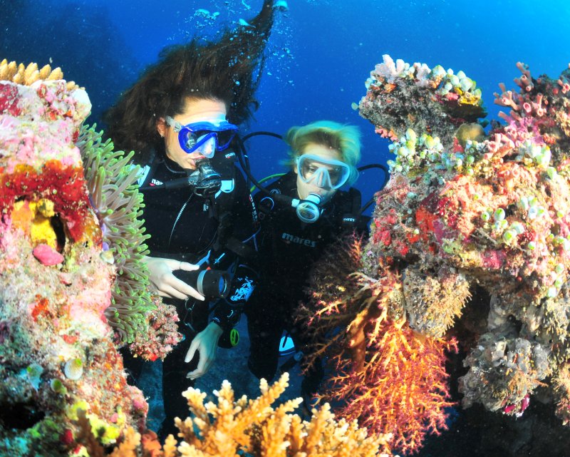 Divers exploring coral-covered ledges at Two Mile Reef in Sodwana Bay