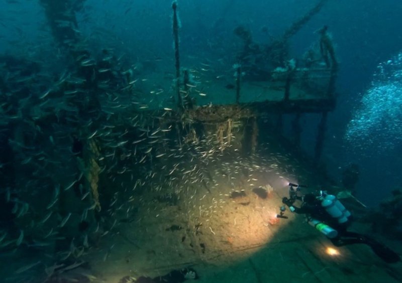 72 Meters Down: Why Stingray Japan Returned to the Scandinavia