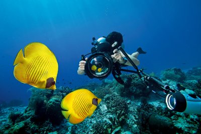 Must-Have Underwater Photography Gear for Beginners