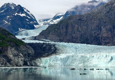 Scuba Diving in Alaska: Dive Into the Final Frontier
