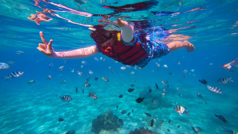 Teen divers observing reef fish while learning about marine ecology