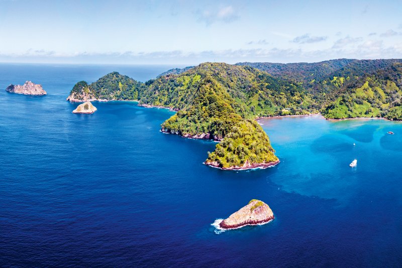 shutterstock-michael_bogner