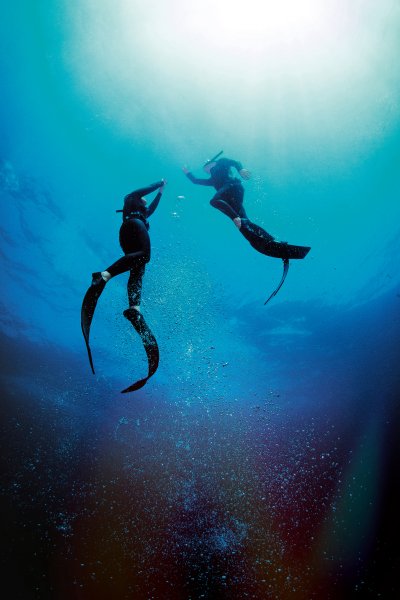 Embrace the Chill: Ultimate Guide to Cold-Water Freediving