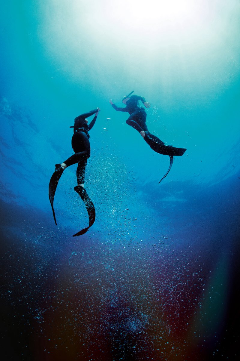 psychology_deep_subgear