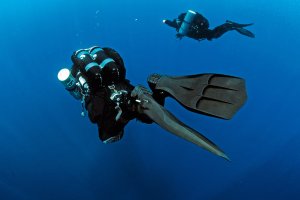 9 گواهینامه غواصی که هر غواص باتجربه‌ای باید در نظر بگیرد