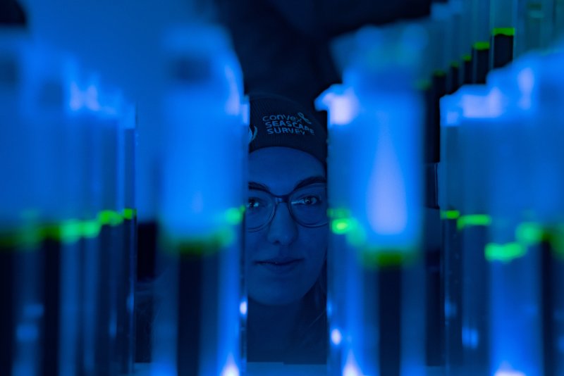 Convex Seascape Survey