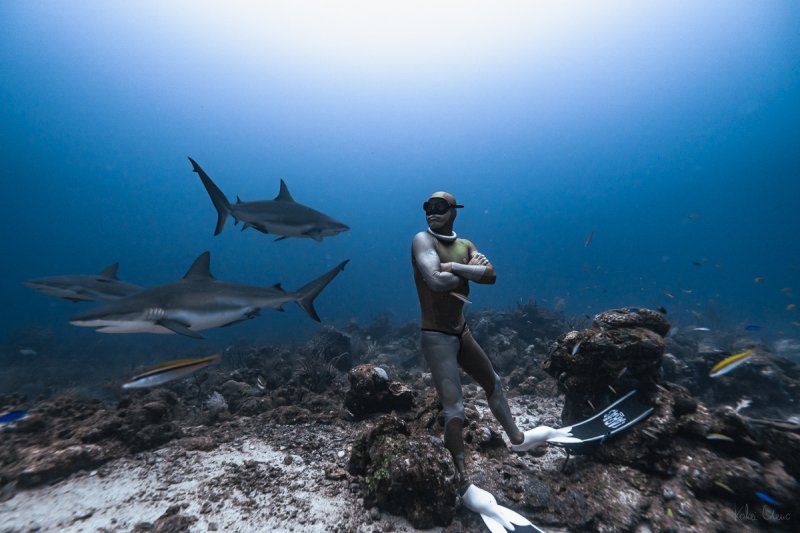 Kohei Ueno / @kuenok