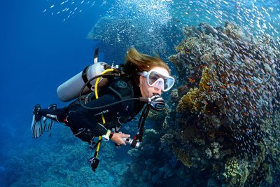 6 Tips for Scuba Diving on a Budget in 2024